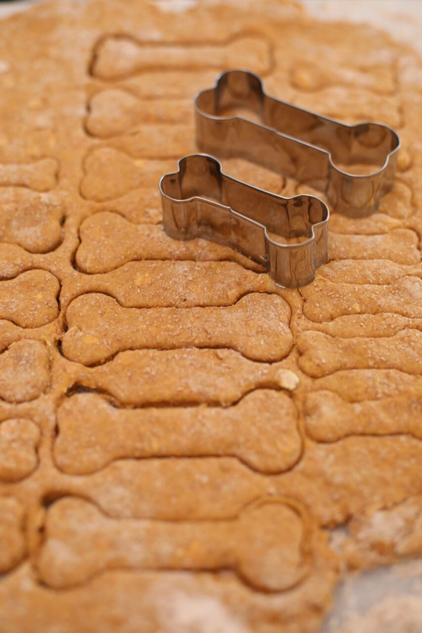 Homemade Dog Biscuits (Pumpkin & Peanut Butter) - Gemma’s Bigger Bolder ...