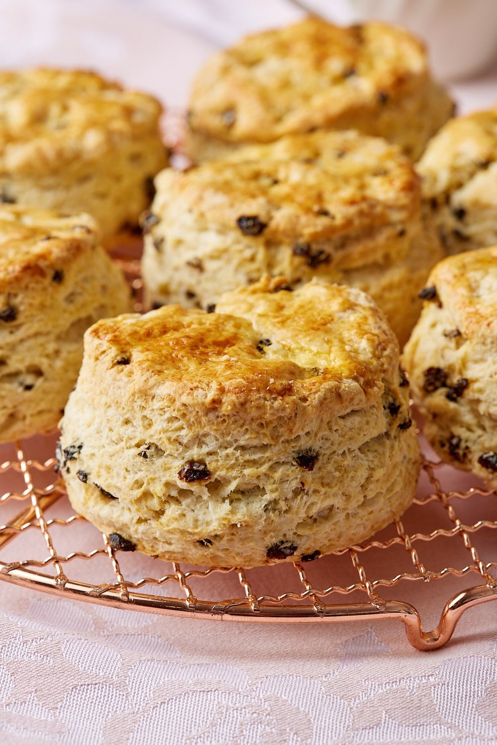 A close-up shot at thick golden brown scones with currants. 