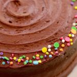 cake, chocolate,frosting,fudge,sprinkles,best ever,celebration