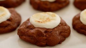 Hot Chocolate & Toasted Marshmallow Cookies