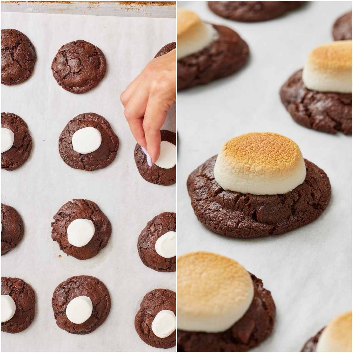 Hot Chocolate Cookies step7 Place a marshmallow on top of each cookie and then broil until the tops are toasted.