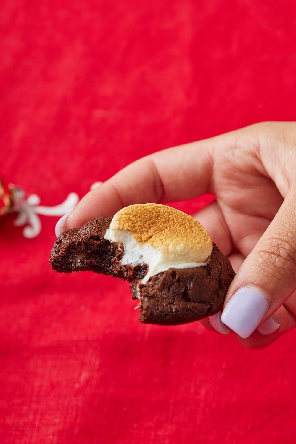 Hot Chocolate Cookies13 A Hot Chocolate Cookie with one bite taken.