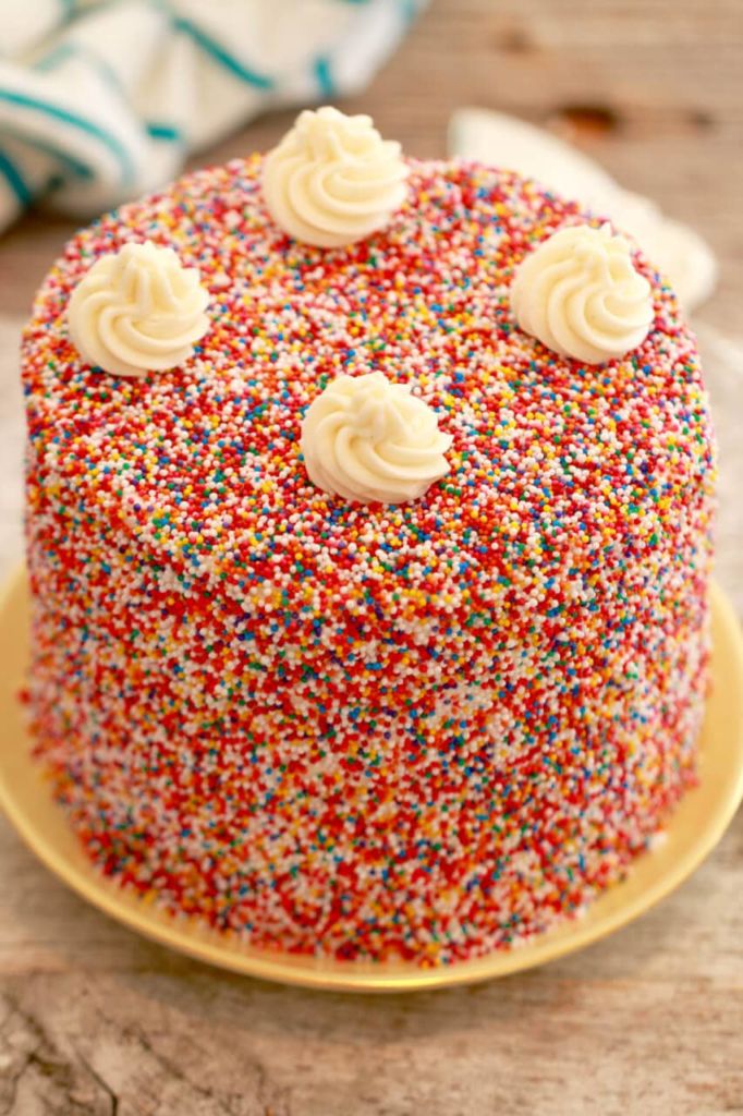 1st Birthday Smash Cake Tutorial + Simple Vanilla Cake ...