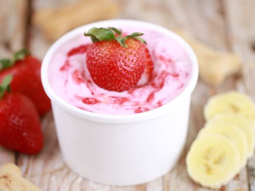 healthy dog ice cream