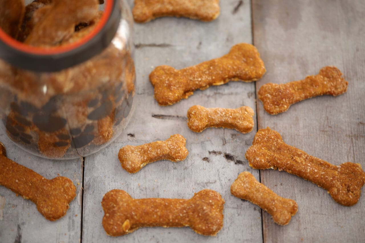 Pumpkin & Peanut Butter Homemade Dog Biscuits - Good for your dog inside and out