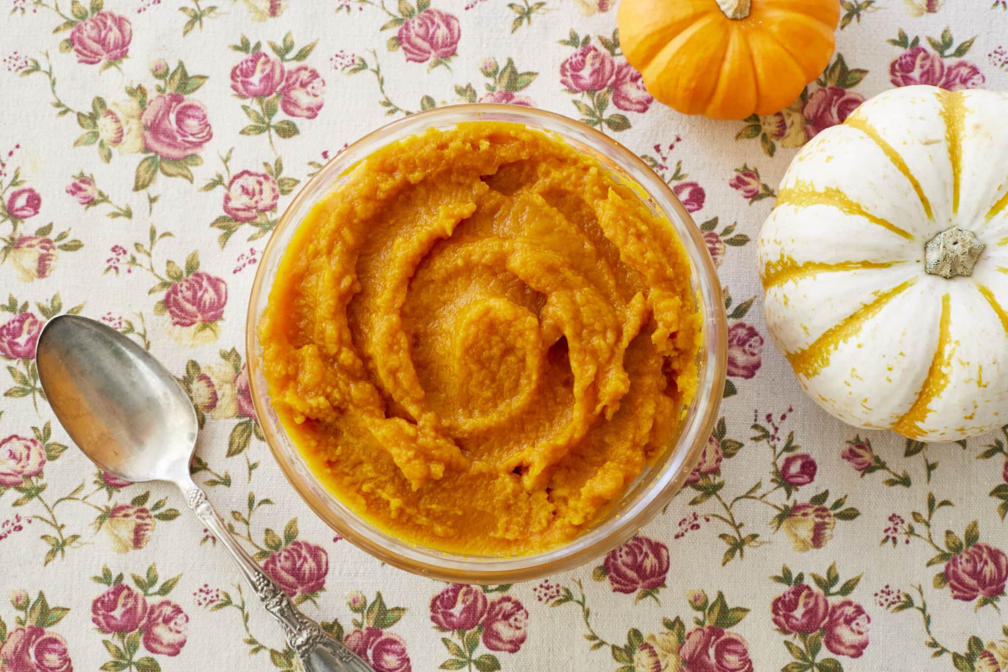 Homemade Pumpkin puree is in a glass bowl in a vibrant orange color and with a smooth moist consistency. A silver spoon is on the left and an orange sugar pumpkin and a white pumpkin are on the right side.