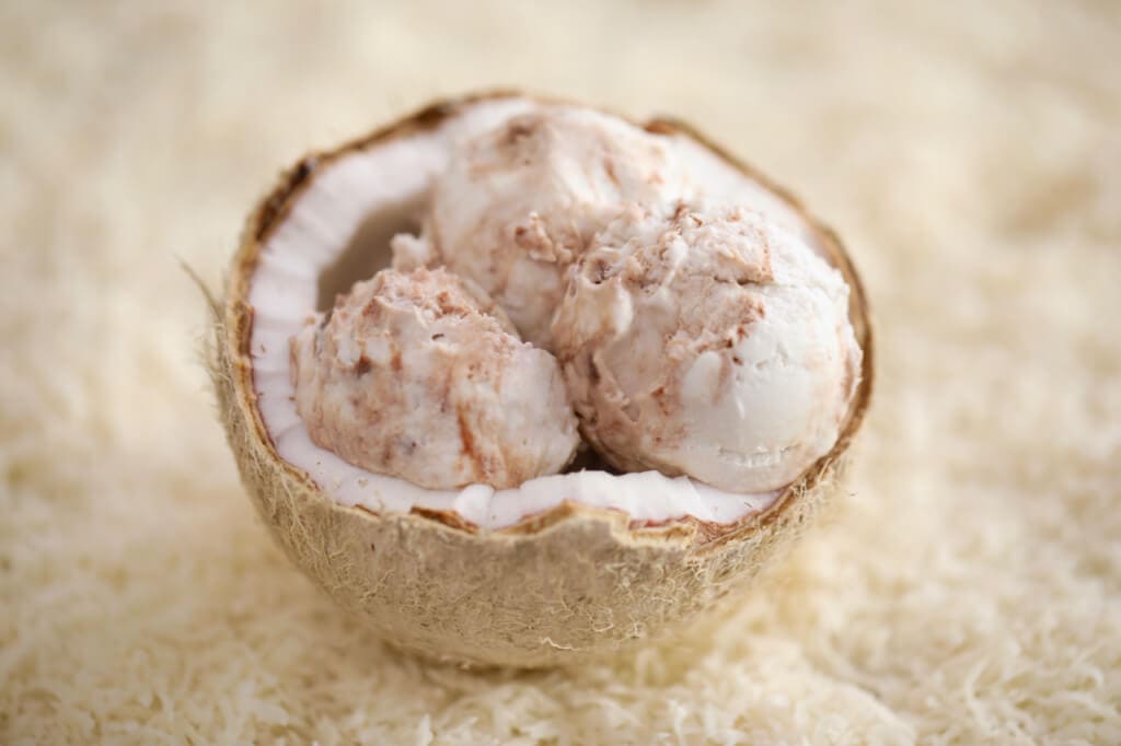 Nutella Swirl Coconut Ice Cream - This Dairy Free 2 ingredient is out of this world, and you don't even need an ice cream machine to make it.