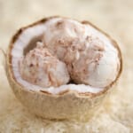 Nutella Swirl Coconut Ice Cream - This Dairy Free 2 ingredient is out of this world, and you don't even need an ice cream machine to make it.