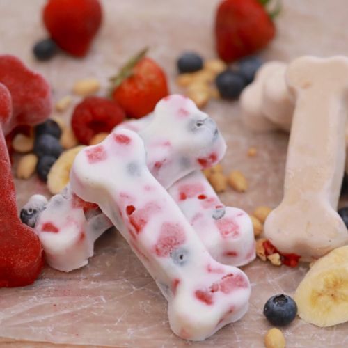 Yogurt And Berries Dog Treats Gemma S Bigger Bolder Baking