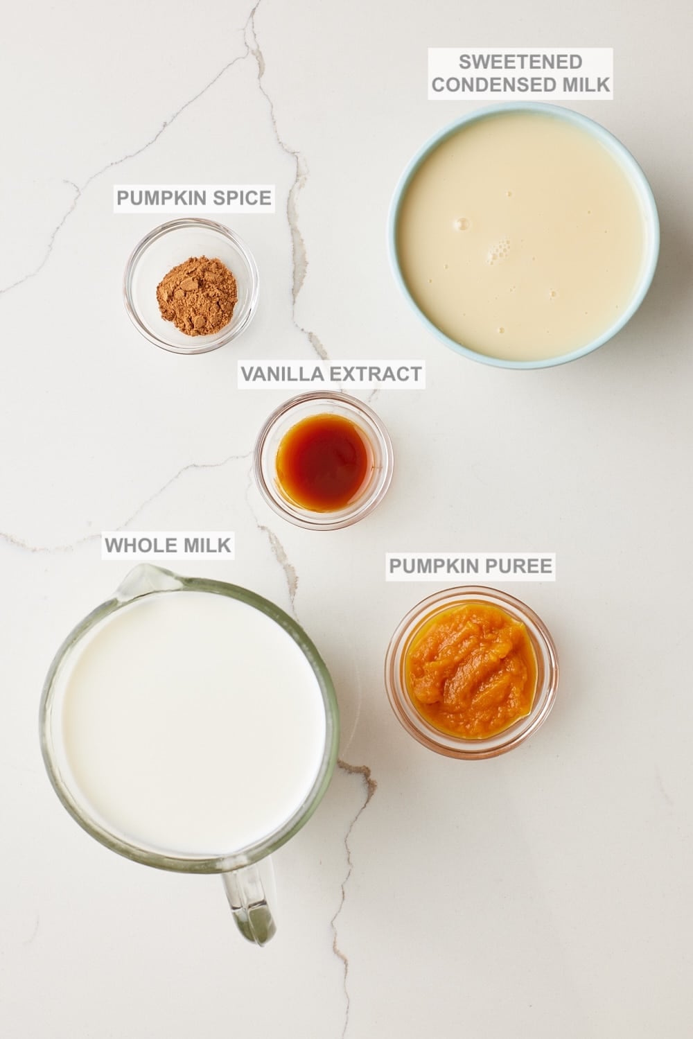 Pumpkin Spice Coffee Creamer1 Pumpkin Coffee Creamer ingredients.