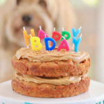 Dog Birthday Cake For Your Furry Friend