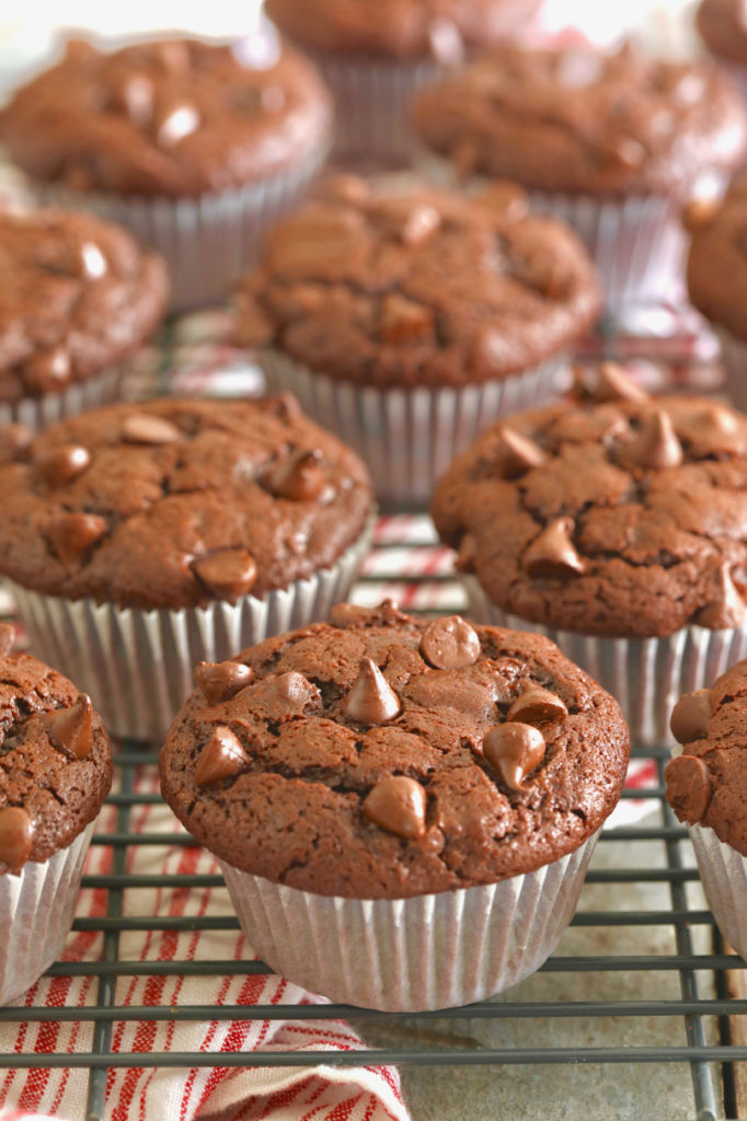 Bakery-Style Chocolate Chip Muffins baked, showing chocolate texture and chocolate chips on top.