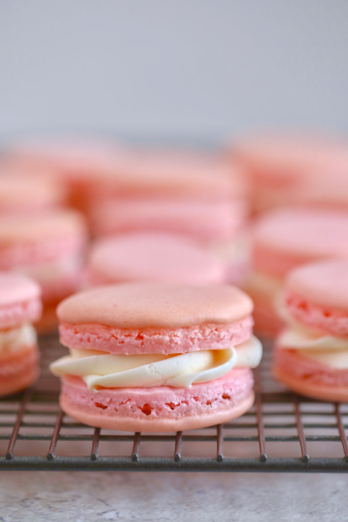 Complete Guide To French Macarons 7 Common Mistakes W Video,Cardamom Seeds Sukmel In English