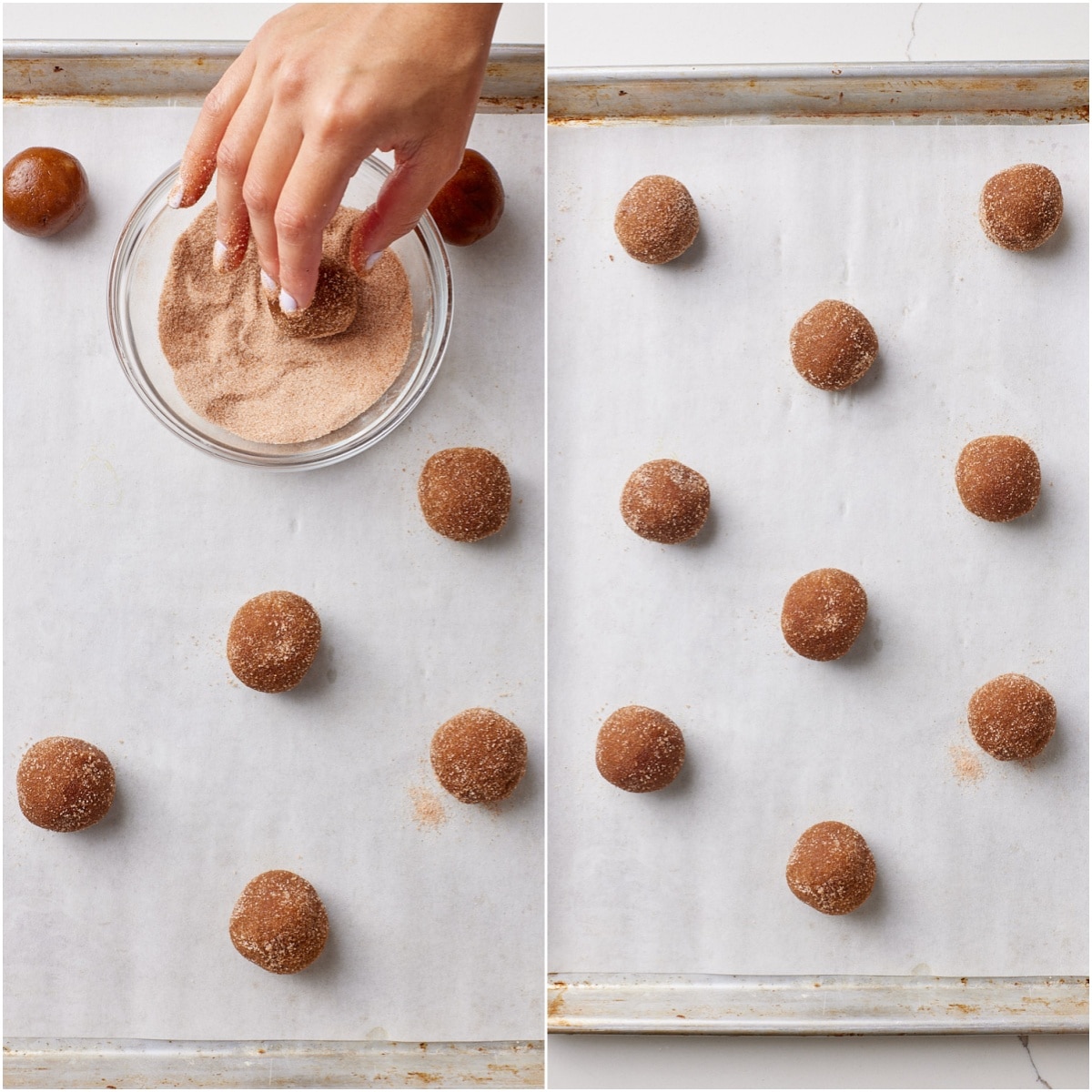 Roll molasses cookie dough ball in cinnamon sugar and place them on a baking sheet 2 inches apart.