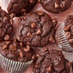 Best Ever Double Chocolate Chip Muffins