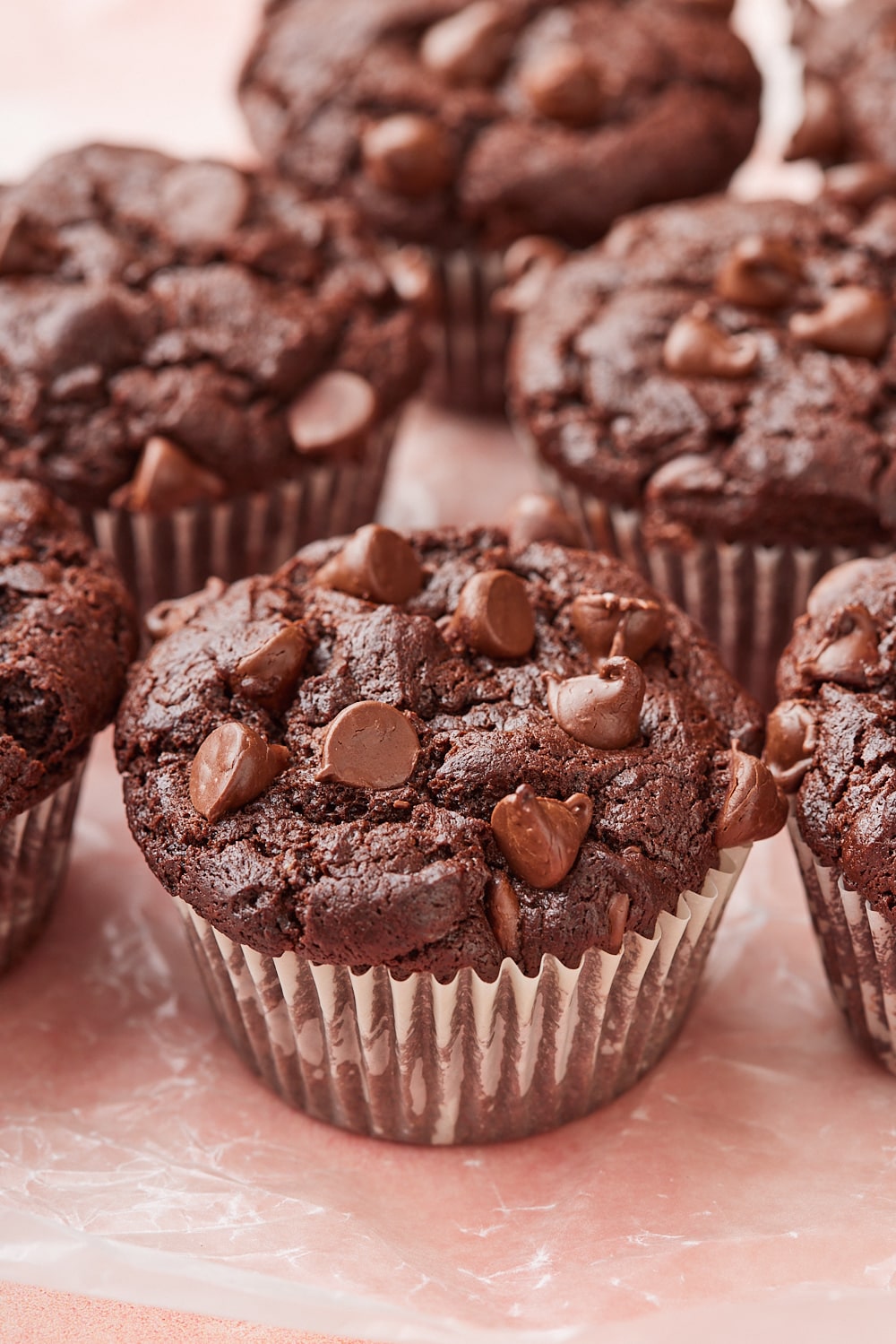 Double Chocolate Chip Muffins10 A close-up shot at double chocolate chip muffins shows the moist crumb and shinny chocolate chips.