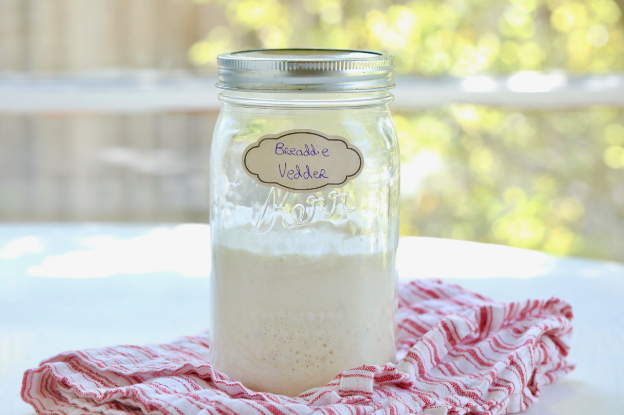 The Last Sourdough Starter Guide You'll Ever Need