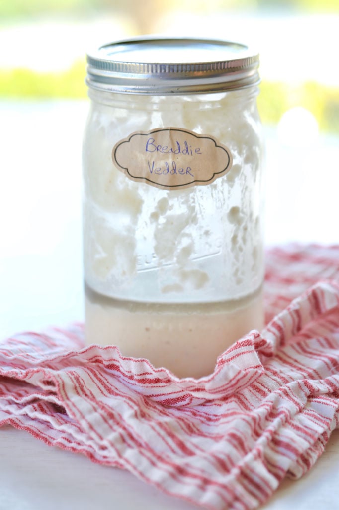 My sourdough starter needing feeding, the dark liquid on top is "hooch."