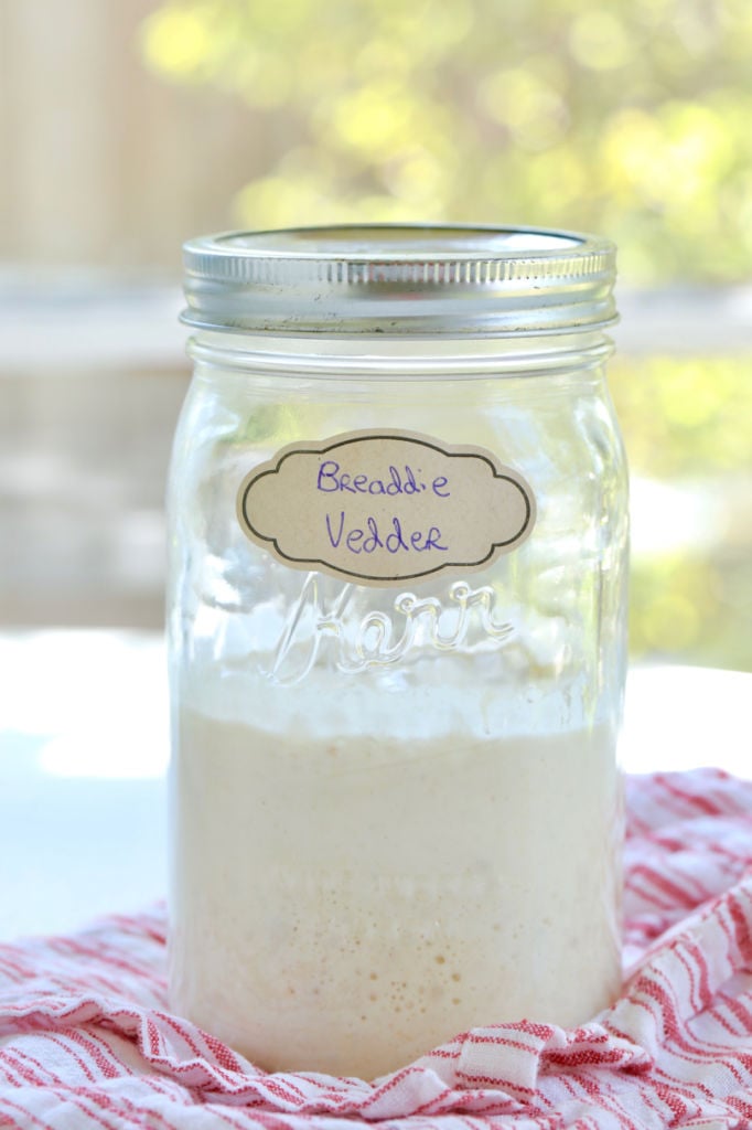 The Last Sourdough Starter Guide You ll Ever Need   Bigger Bolder Baking - 13