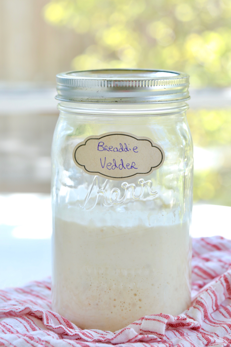 A jar of bubbly active sourdough starter