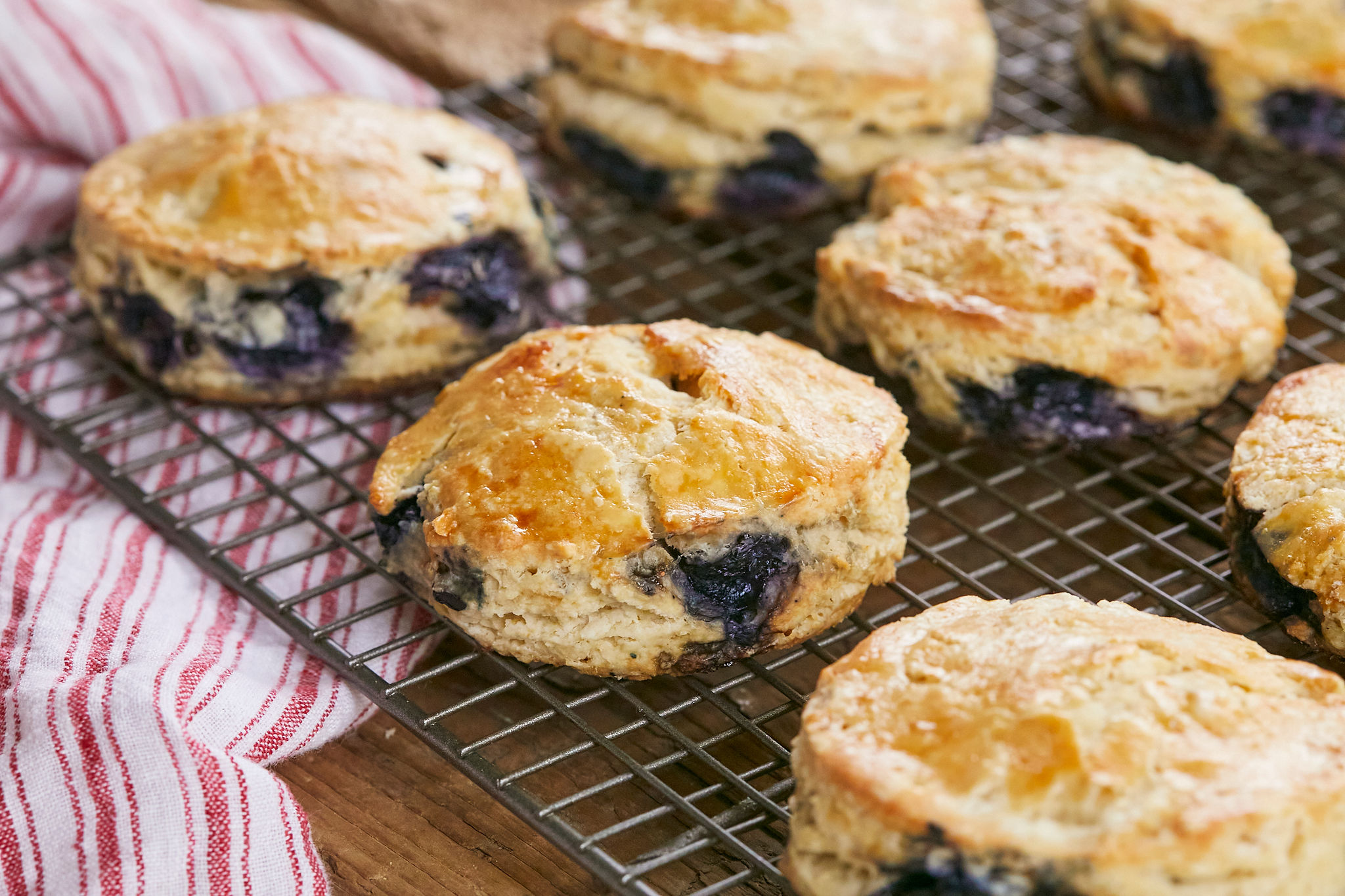 Fresh Blueberry Scones Recipe hot out of the oven on a cooling rack by Gemma Stafford, Bigger Bolder Baking