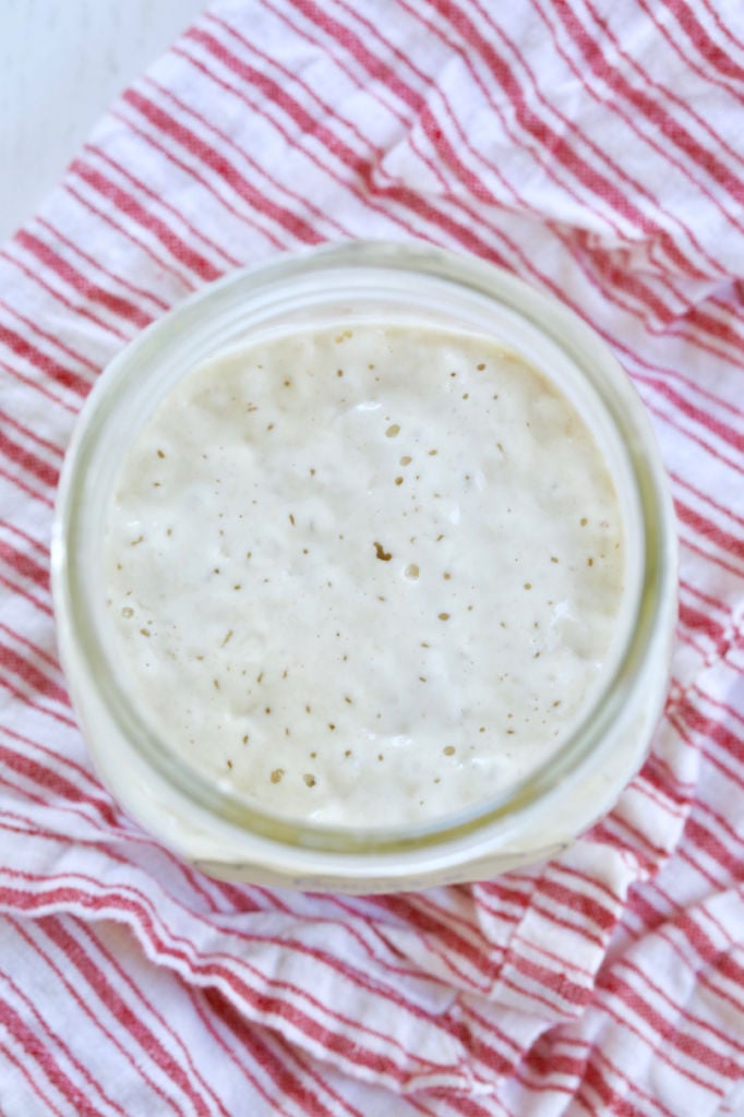 How to Make Sourdough Starter with Less Flour - Baking Sense®