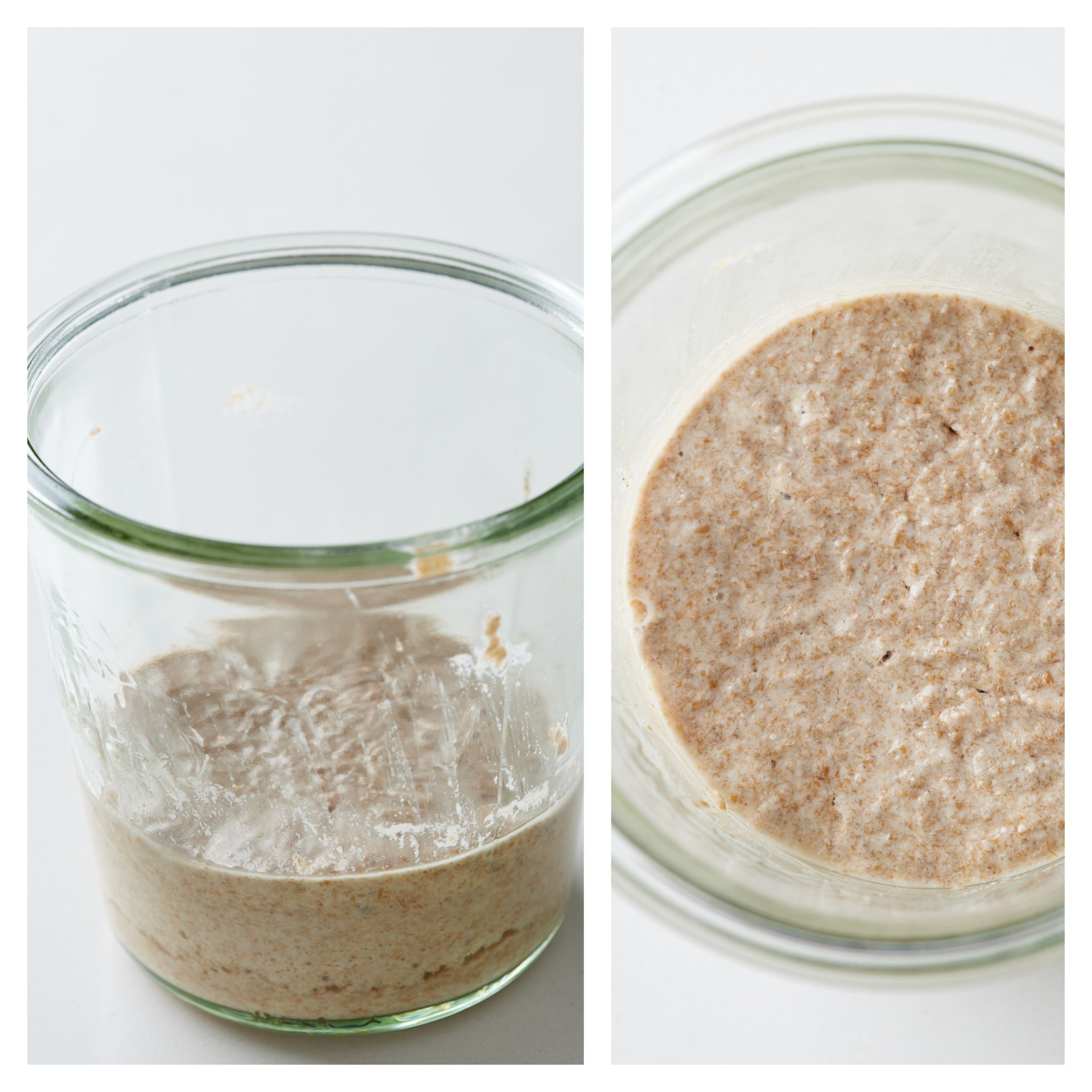 start feeding the starter on the second day 