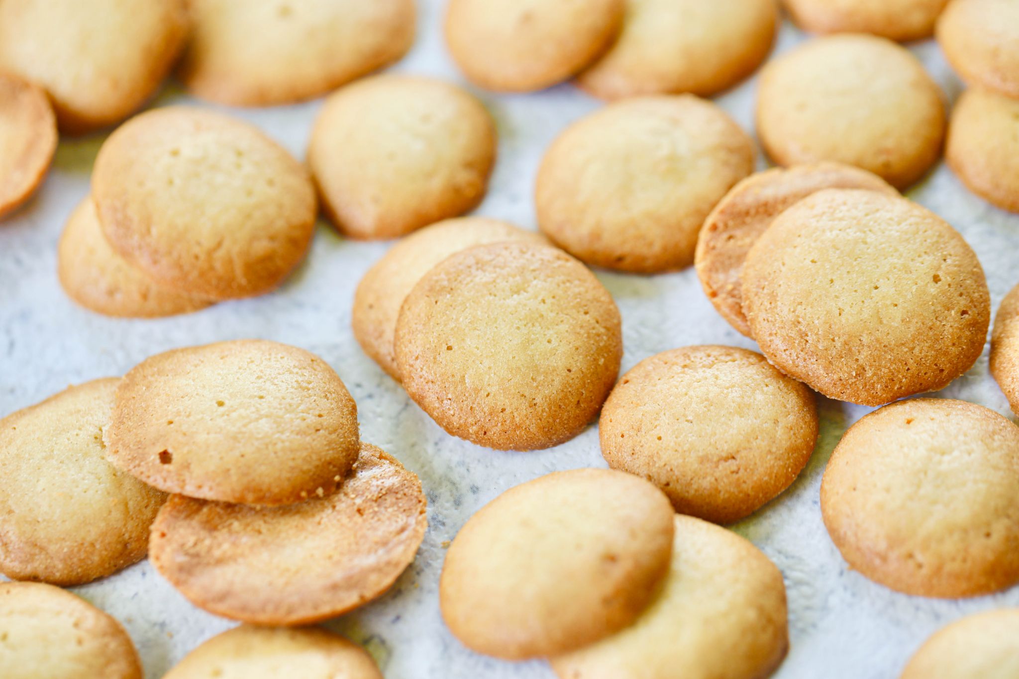 A pile of homemade vanilla wafers, crisp and buttery.