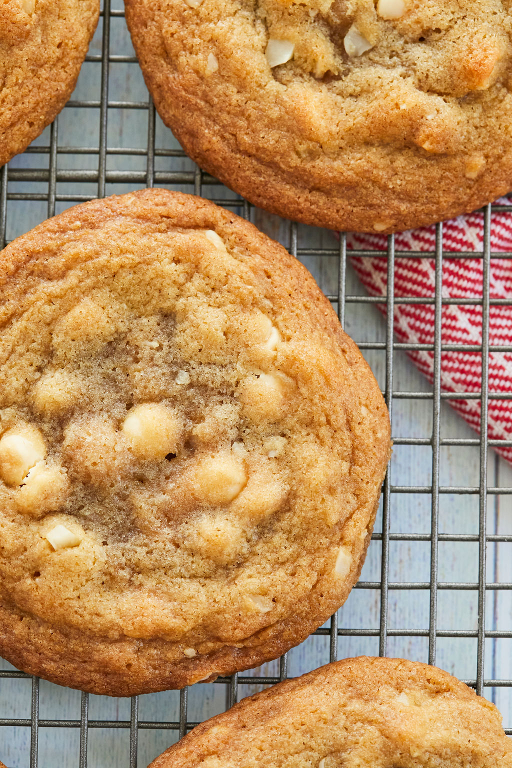 A top-down view of a white chocolate macadamia nut cookie to show perfect texture and consistency.