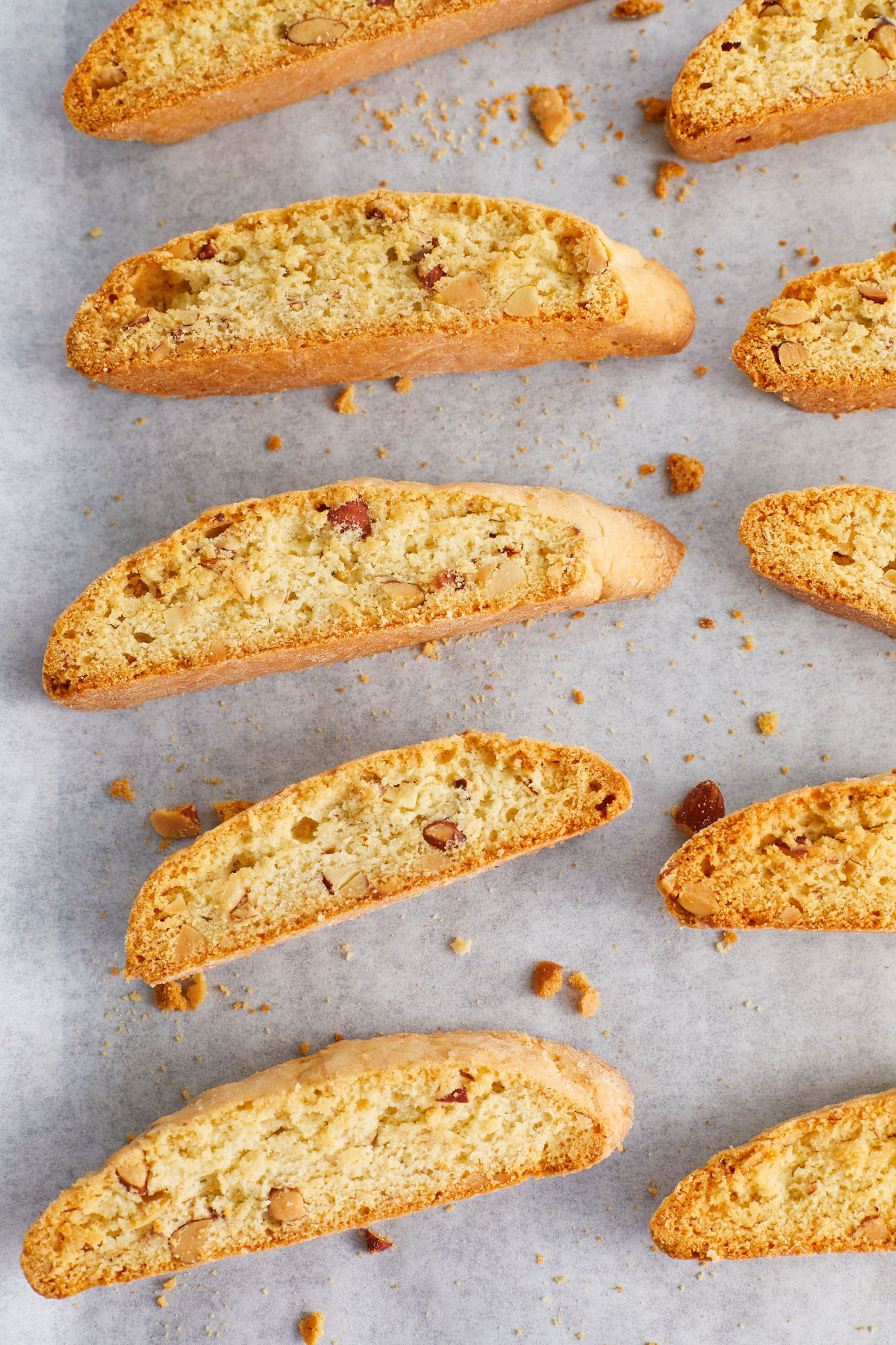 Top-down view of biscotti cookies lined up on parchment.
