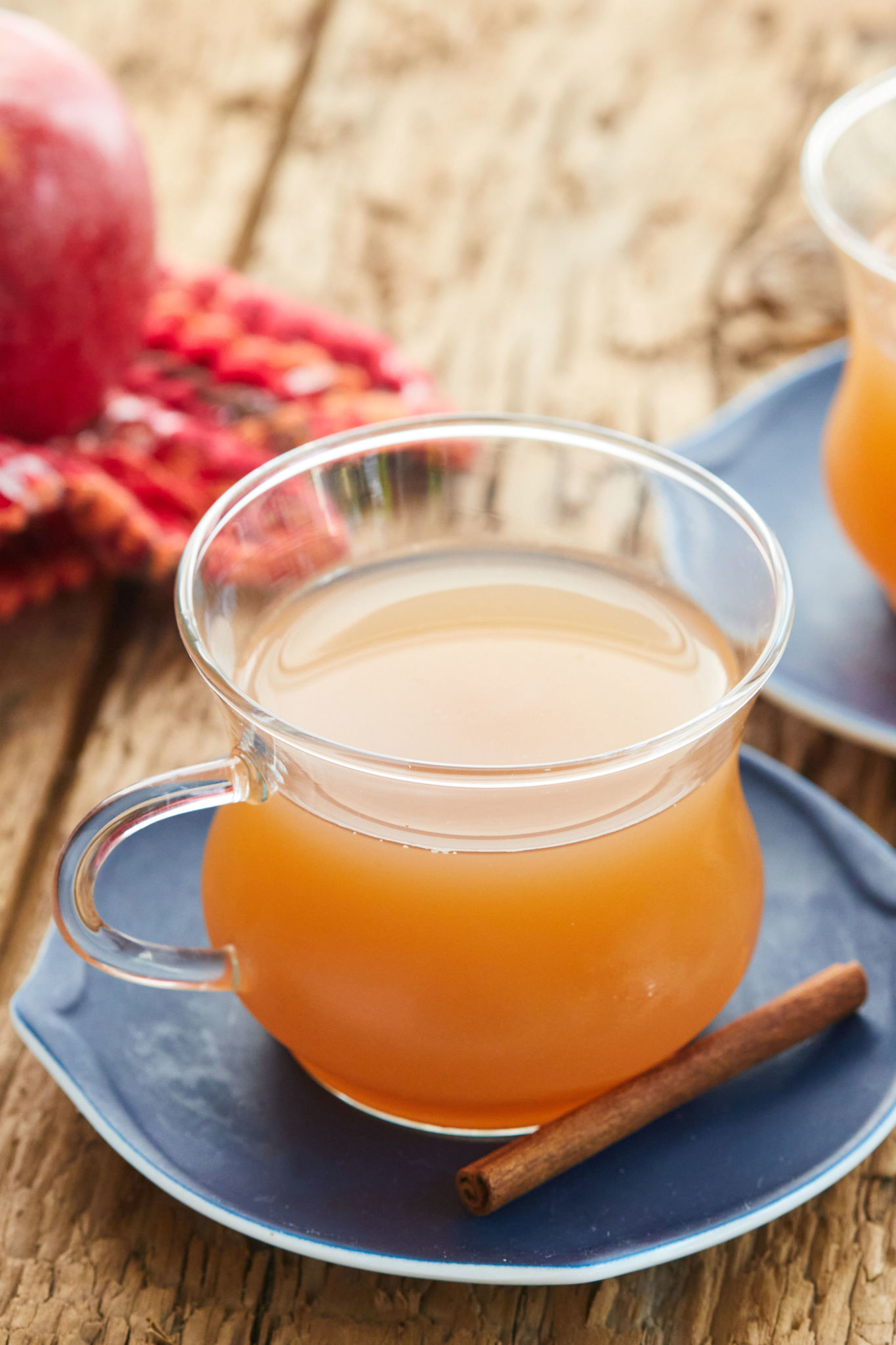 The perfect cup of homemade apple cider.