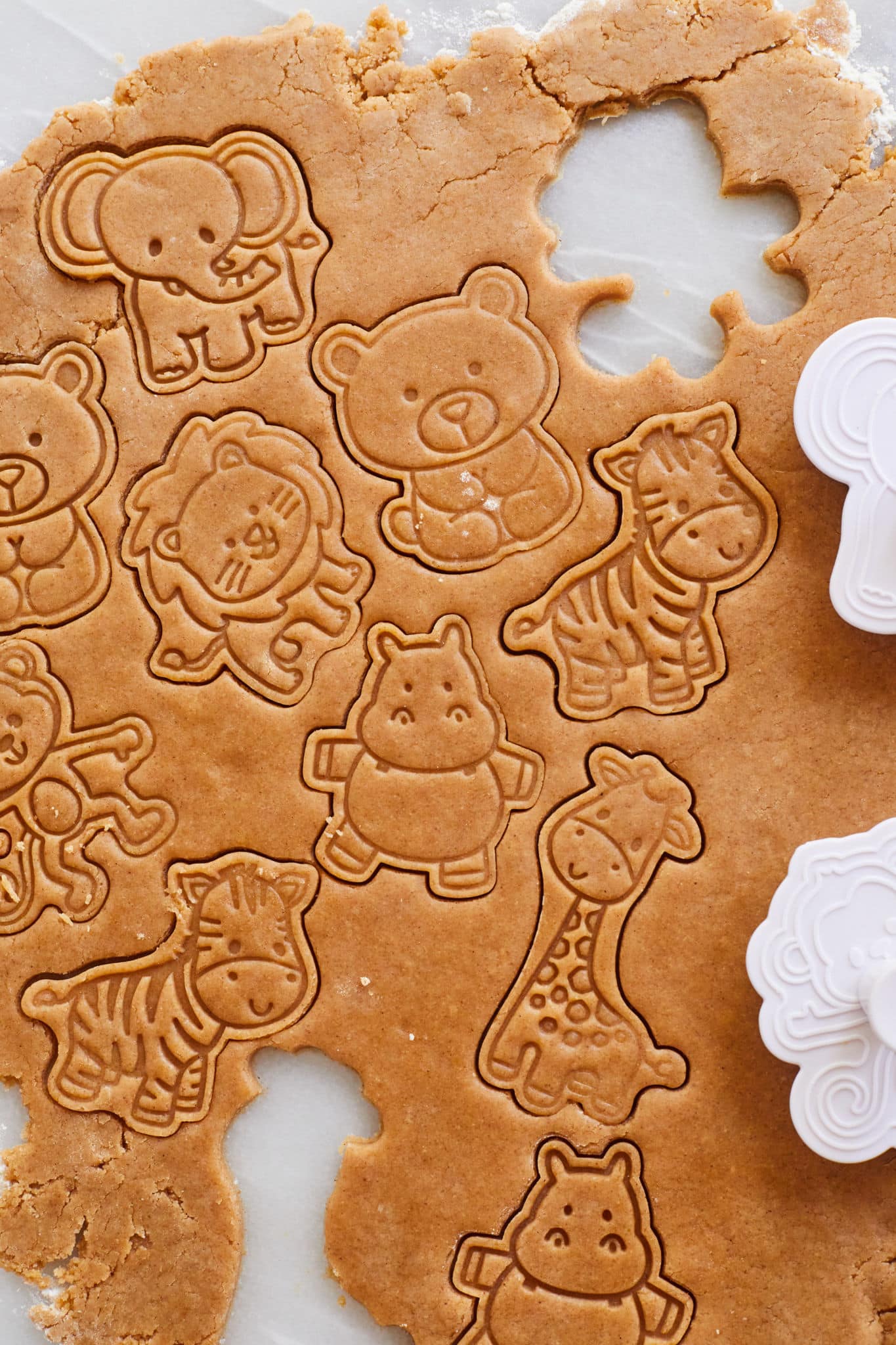 Animal Cracker Shapes being cut out of the simple to make dough.