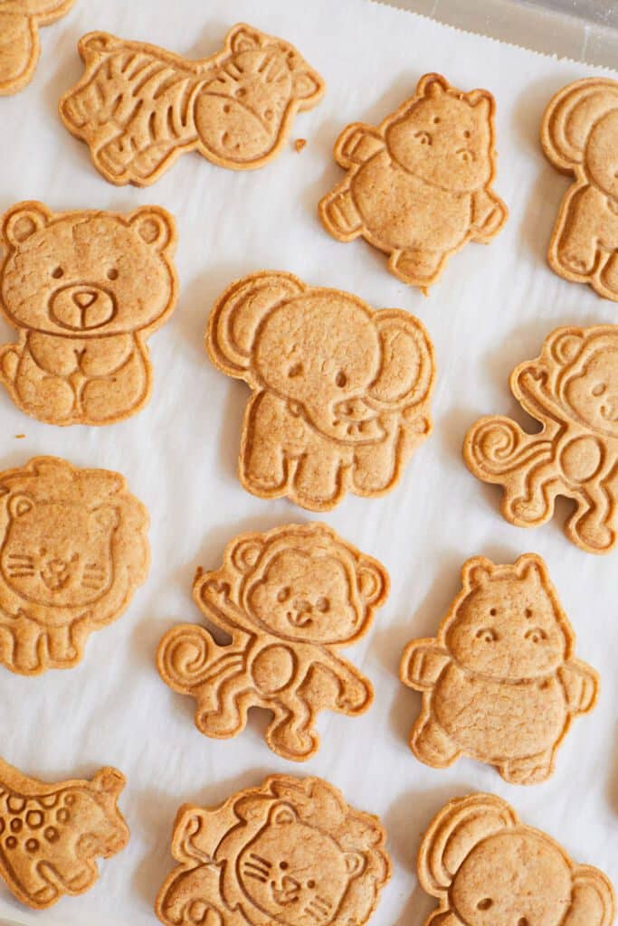 Homemade Animal Crackers with whole wheat are baked perfectly in different animal shapes.