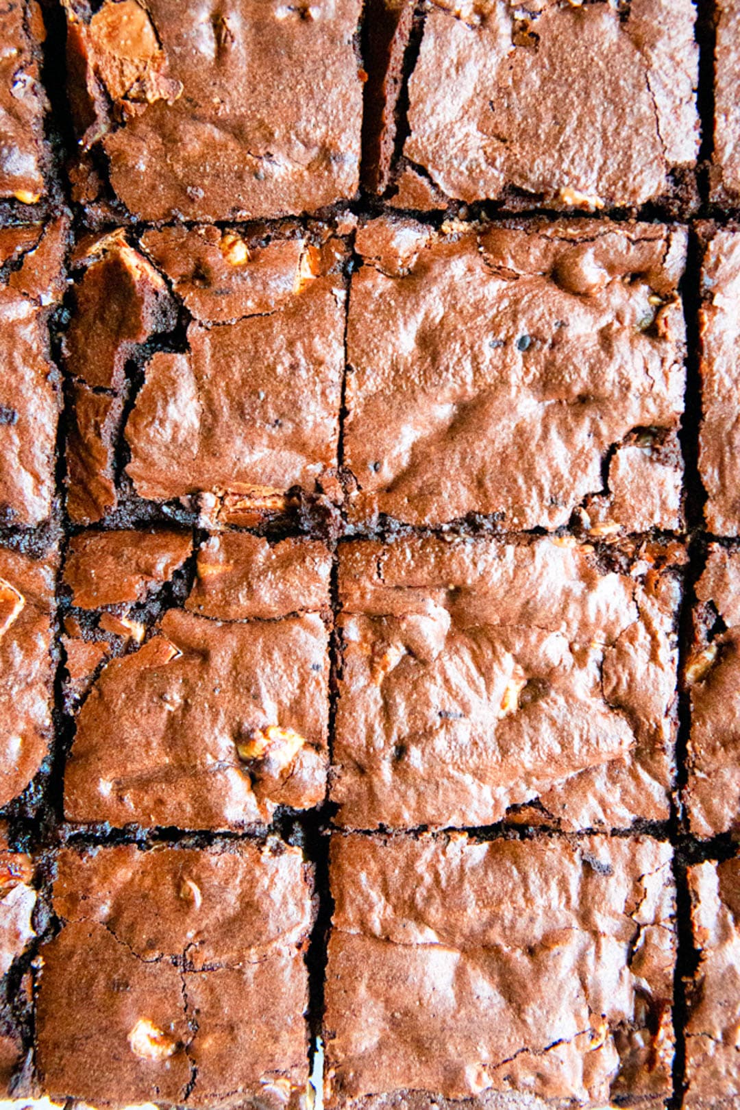 A grid of brownies.