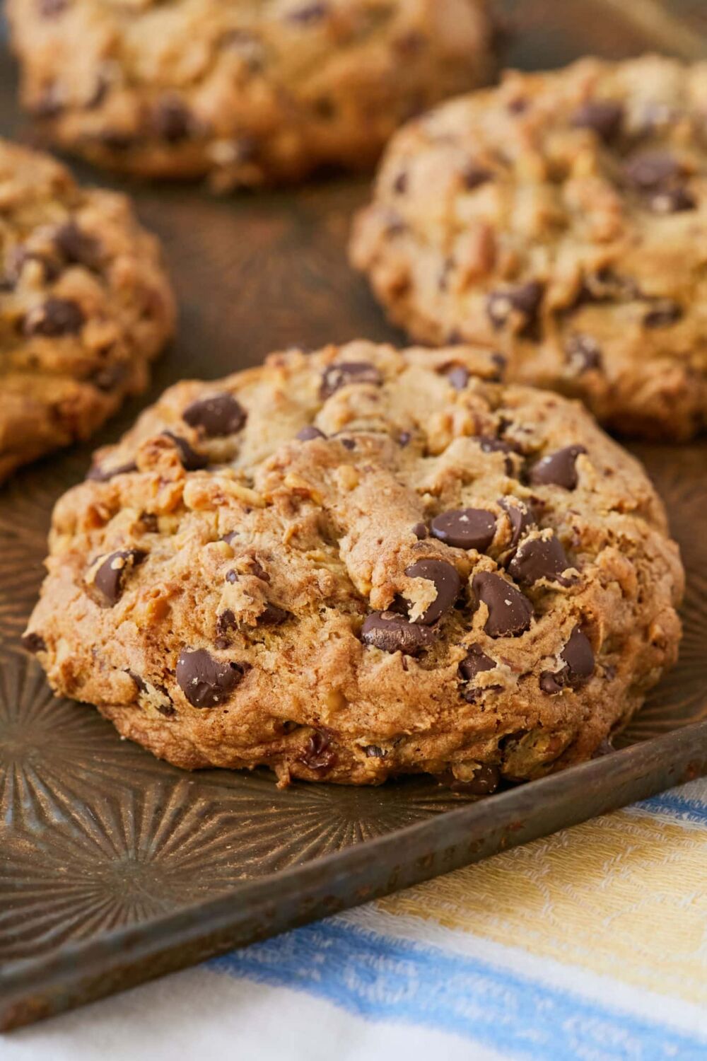 Levain Bakery Cookies3 chunky Levain Bakery Chocoalte Chip Walnut Cookies