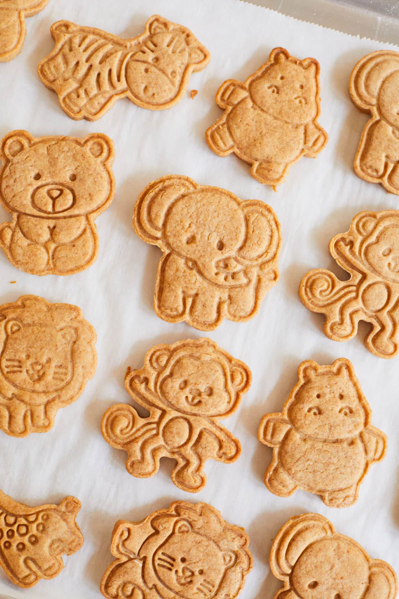 Homemade Animal Crackers2 Animal Crackers