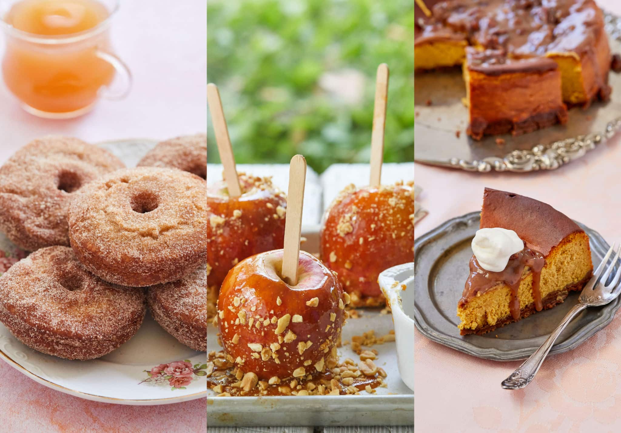 Three images are situated side by side. On the left are homemade apple cider cake donuts. In the middle are homemade caramel apples on a stick with nuts. On the right is pumpkin cheesecake with pecan praline sauce.