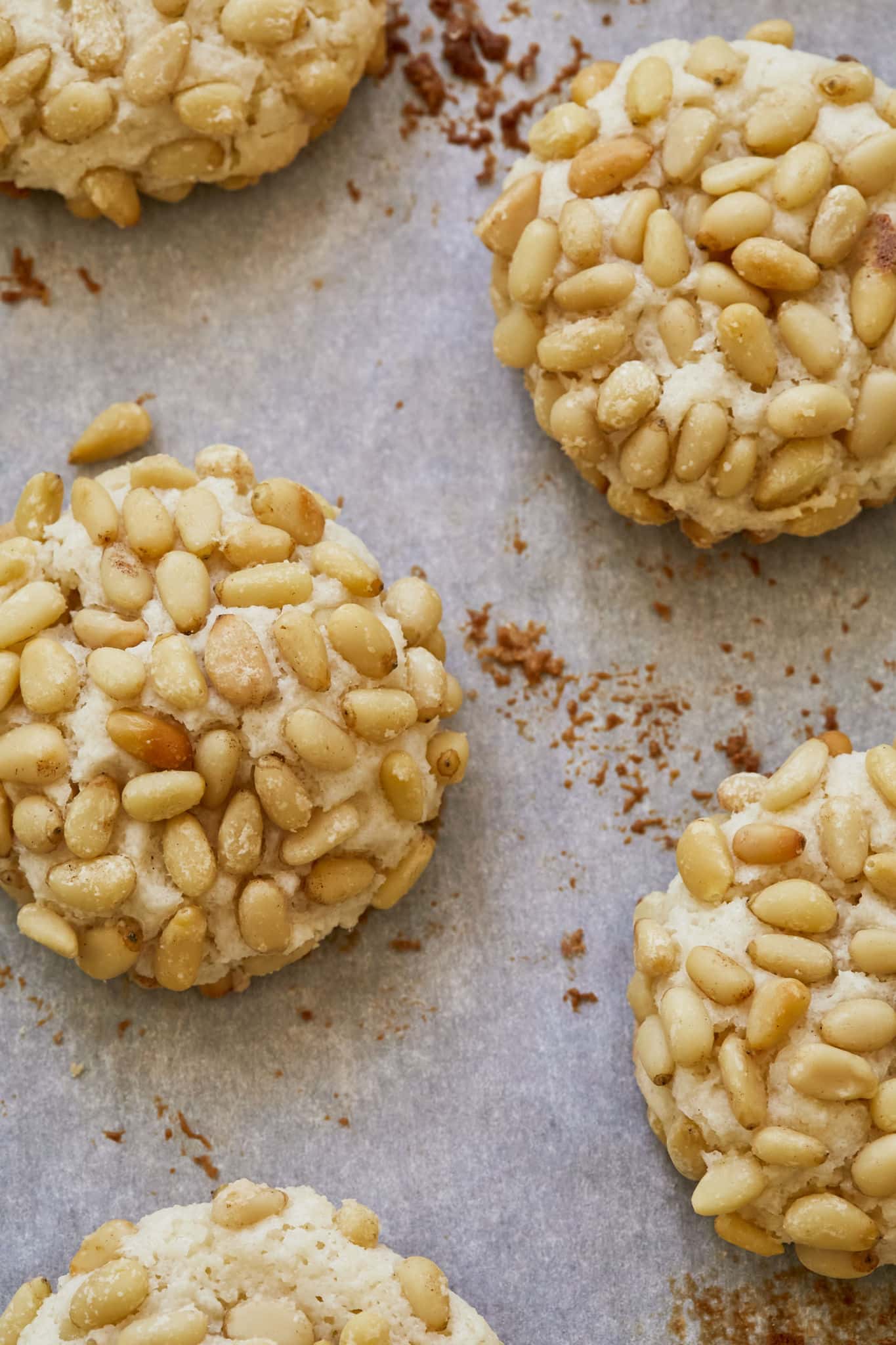 A closeup image of Pignoli cookies show round cookies covered in pine nuts. 