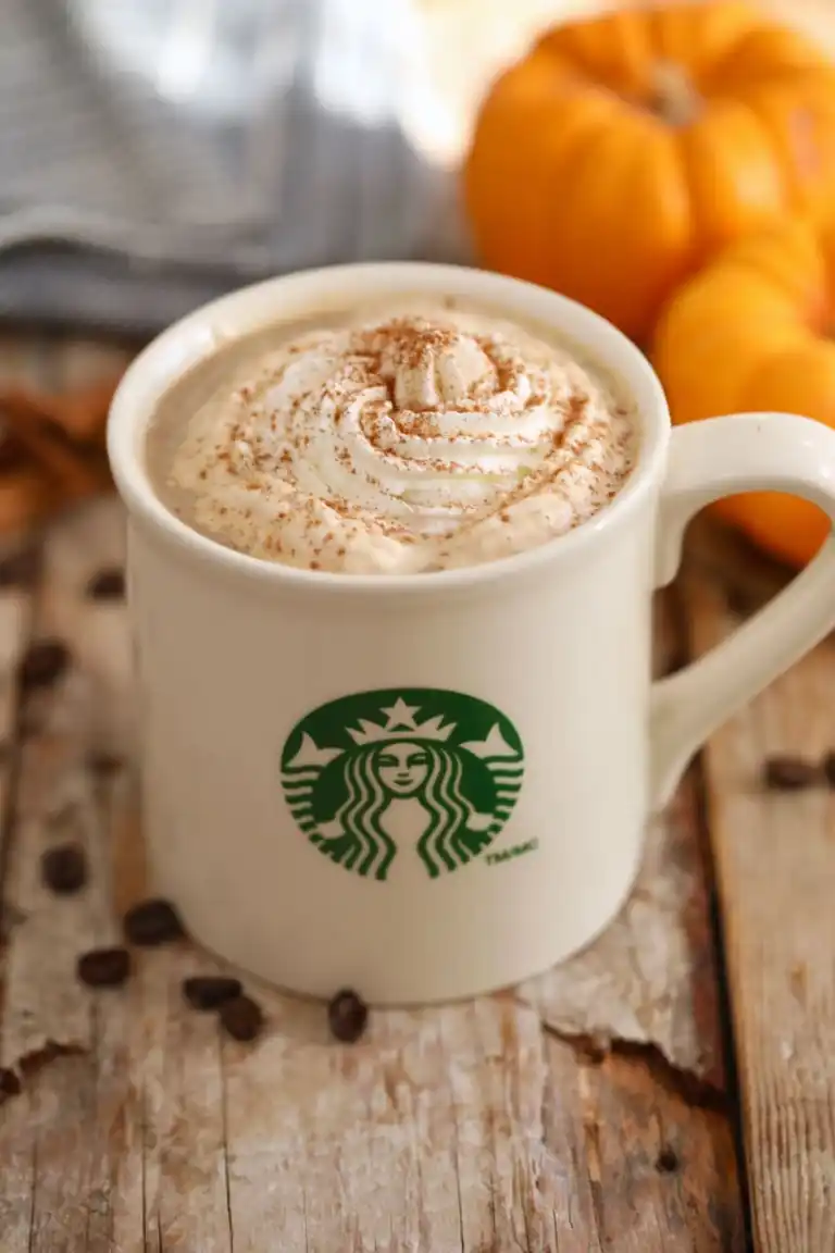 Copycat Starbucks Pumpkin Spiced Latte is served in a mug in front of two small pumpkins.