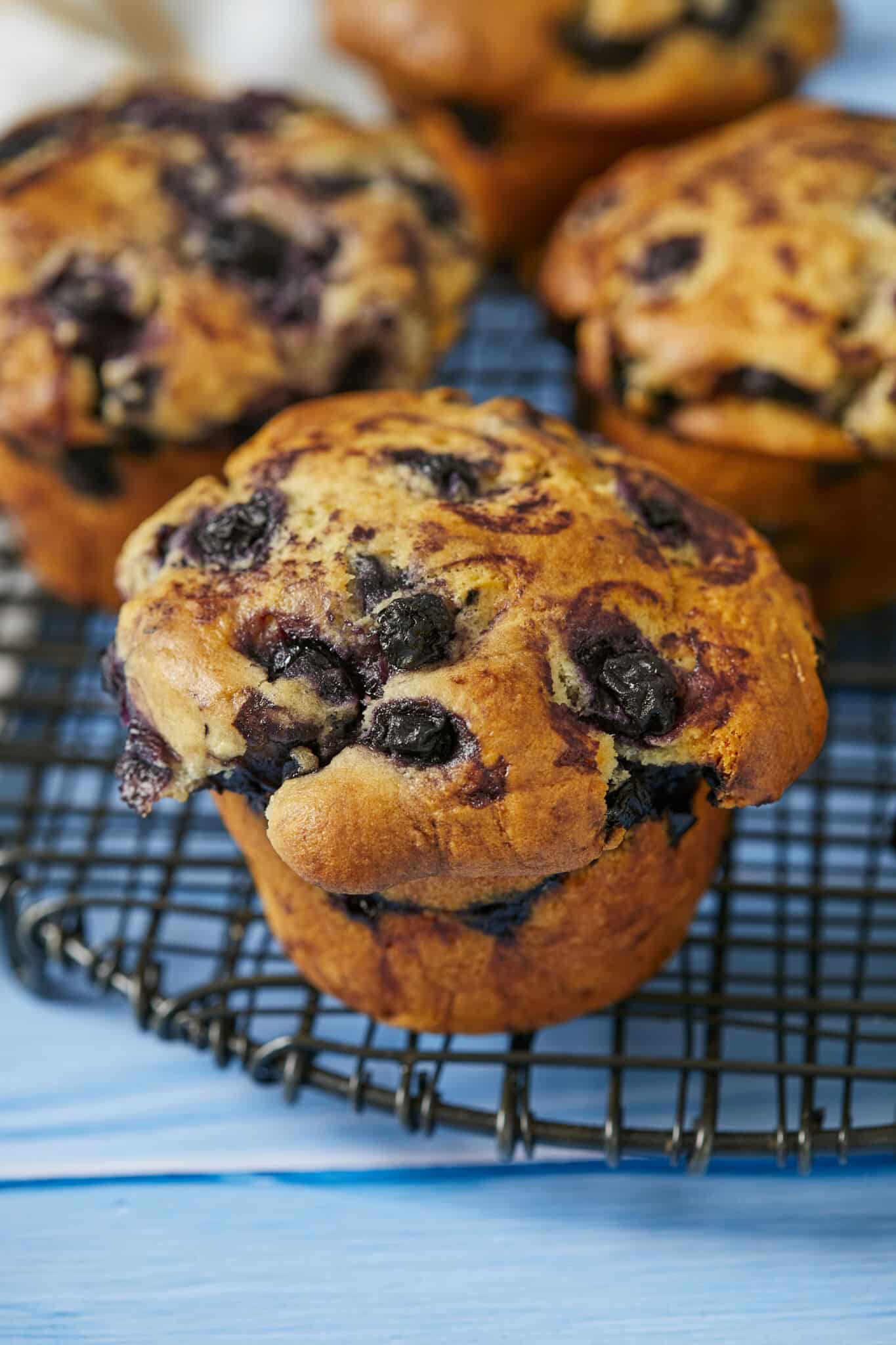 Homemade giant Costco muffins on the cooling rack, with crispy golden brown crust and bursting with floral juicy blueberries. 