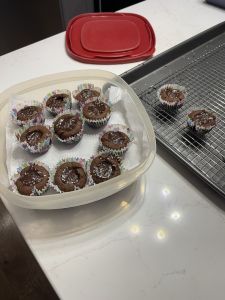 IMG_2481.jpeg