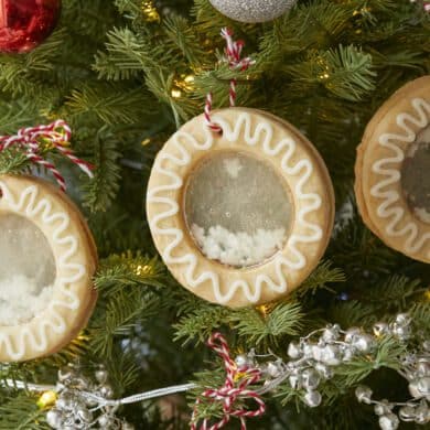 How to Make Snow Globe Cookies