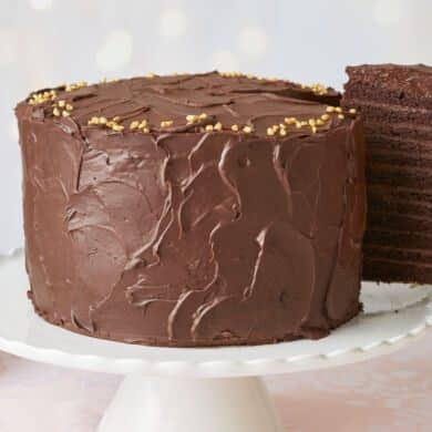 Luxurious 24-Layer Chocolate Cake