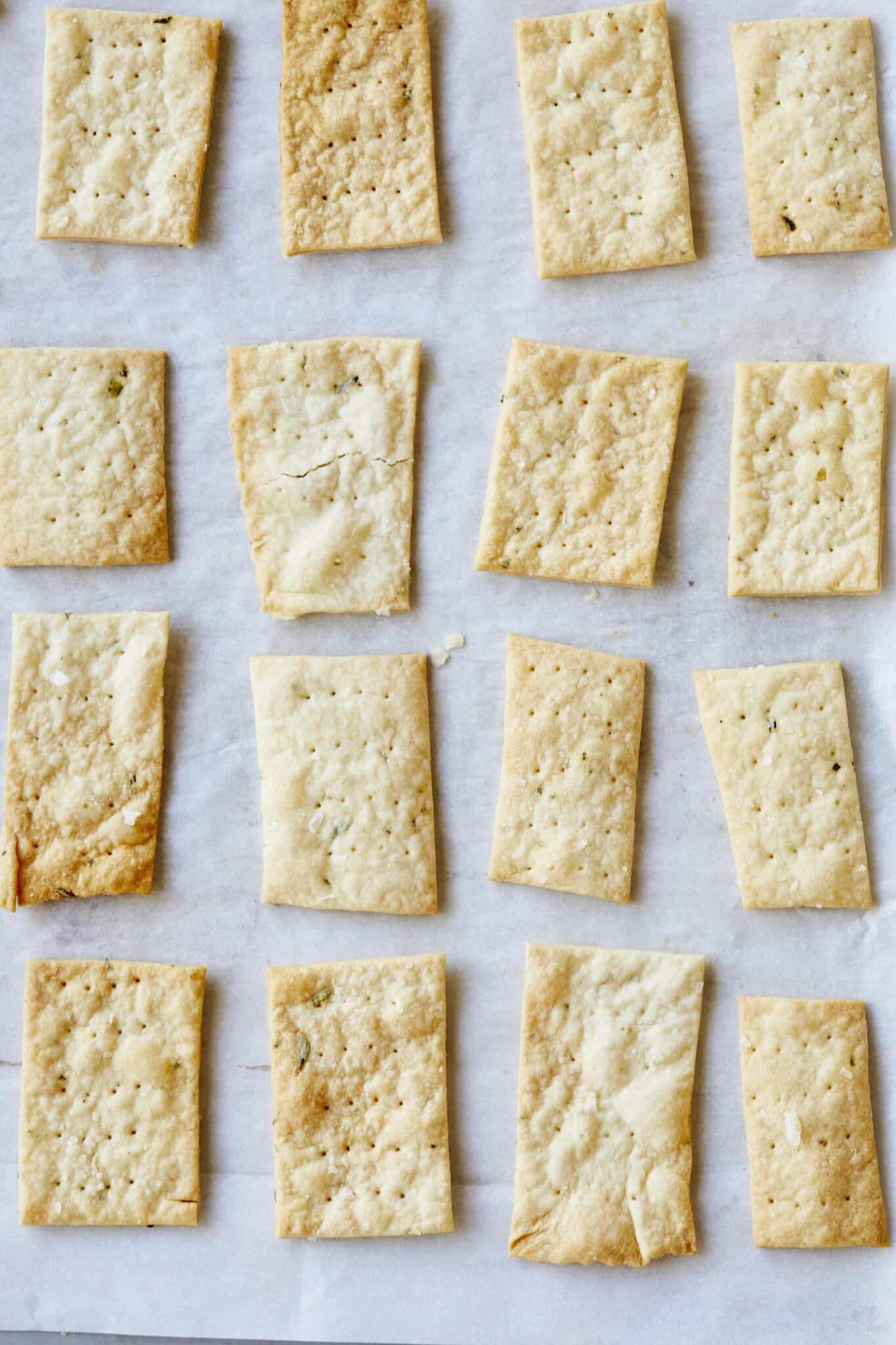 Homemade Sourdough Crackers are in small rectangular shapes and baked golden and crunchy with flaky salt and herbs on top. 