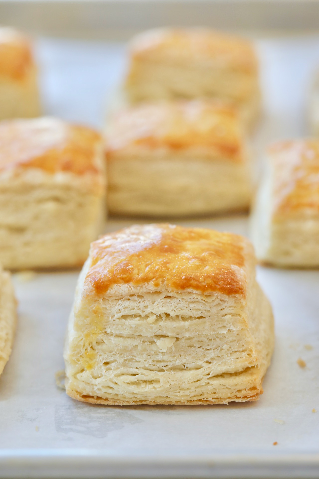 Laminated Biscuits14 A close-up shot at the flaky golden biscuits