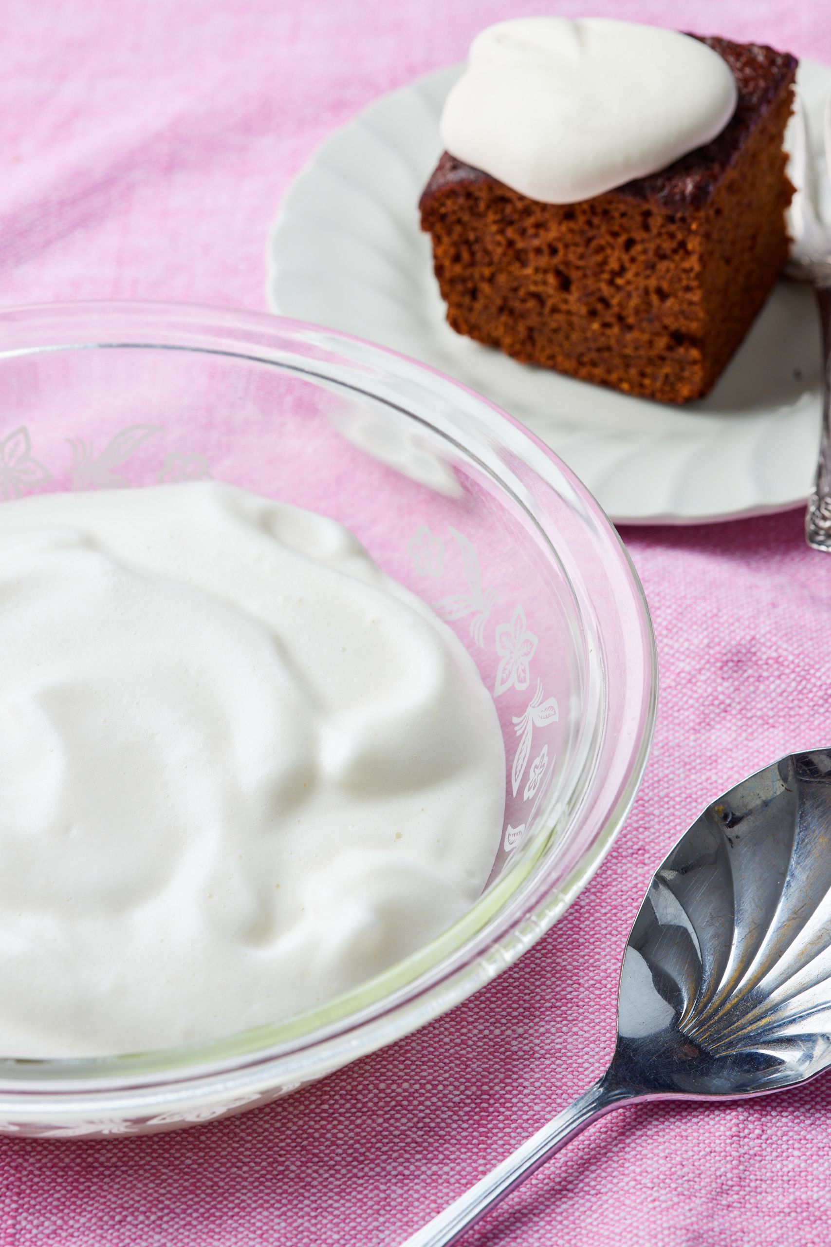 A bowl of silky smooth Whipped Cream substitute , served with a slice of molasses cake. 