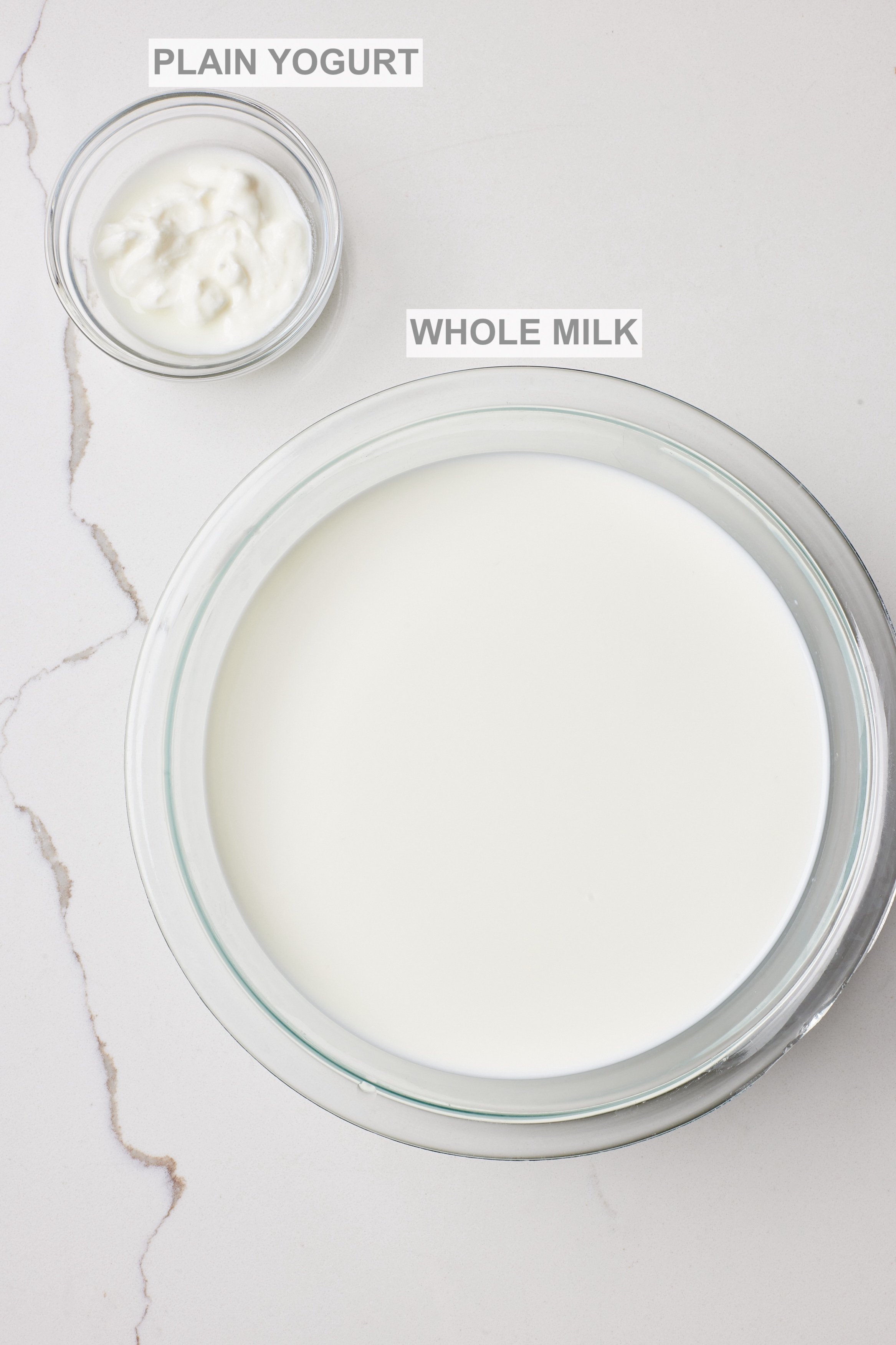 Greek Yogurt1 Ingredients