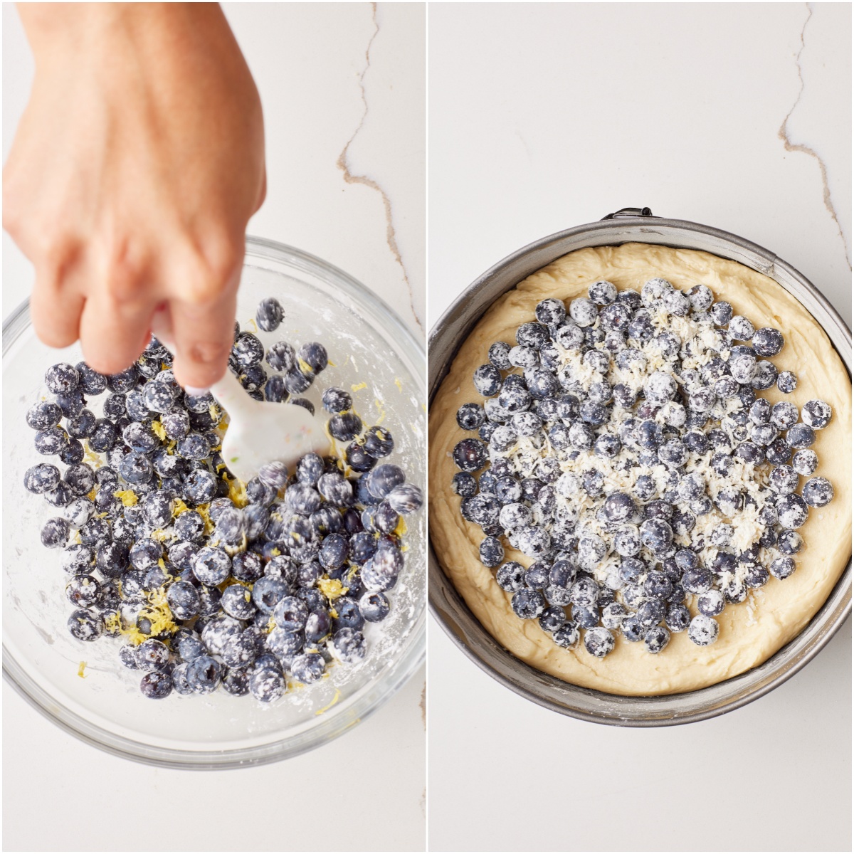 combine the blueberries with the cornstarch and lemon zest, then sprinkle this over the cake batter.