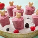 Dog Popsicles Recipe (Pupsicles)