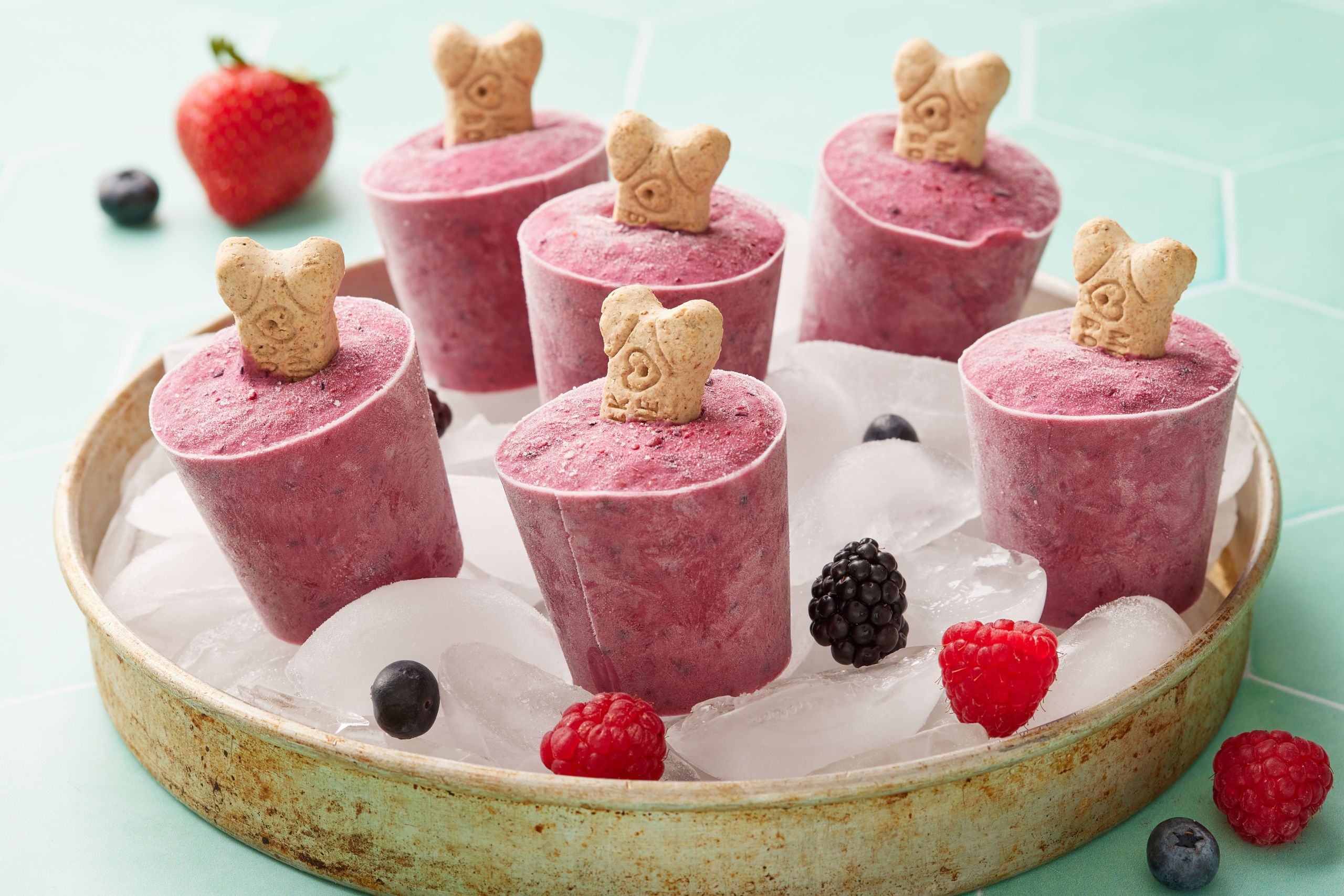 Popsicles (dog popsicles ) with dog biscuits